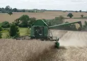 Harvest-Web