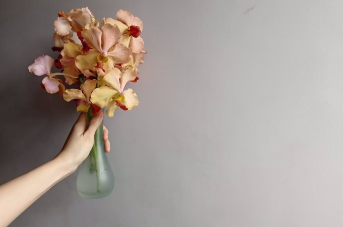 دسته گل ارکیده برای چه مناسبتهایی مناسب است؟